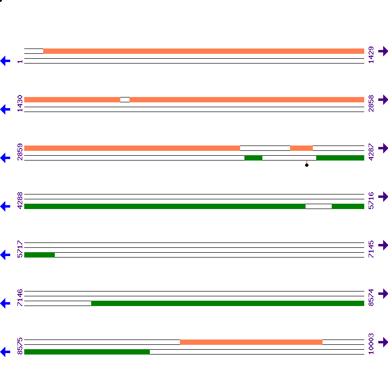 Genome View