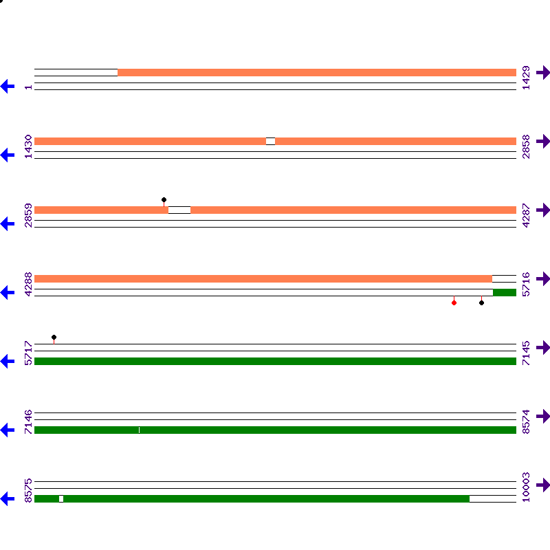 Genome View