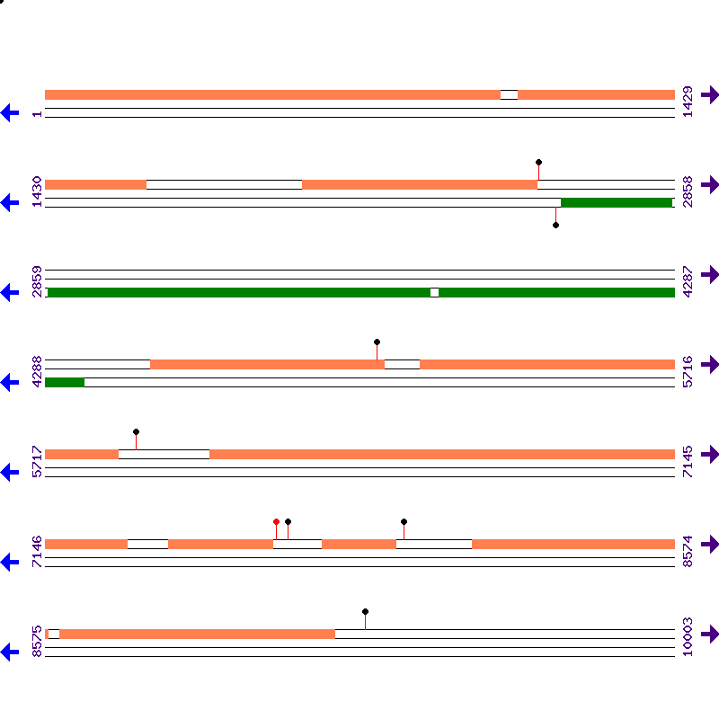 Genome View