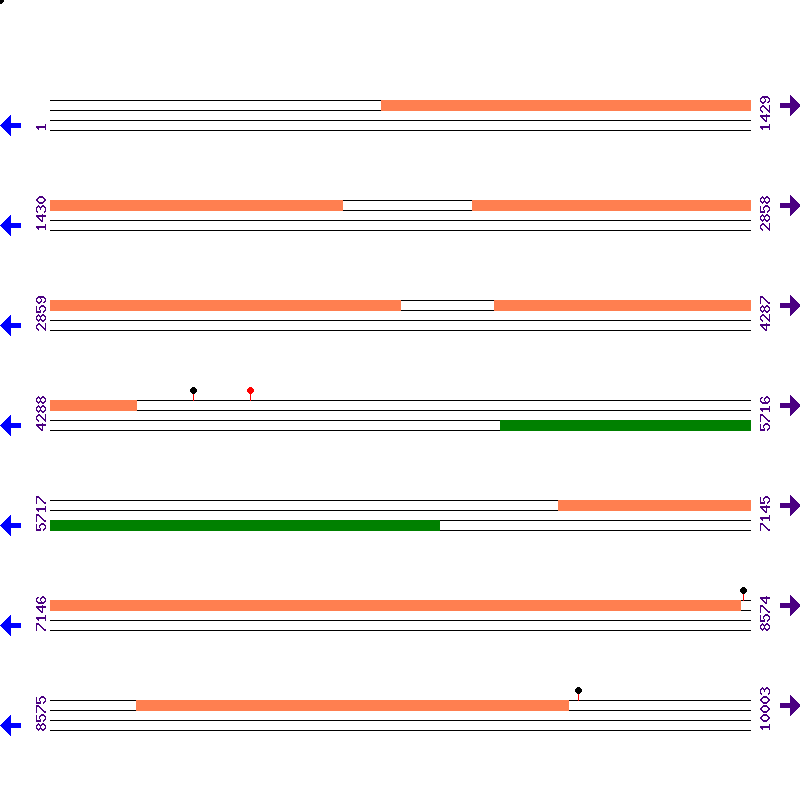 Genome View