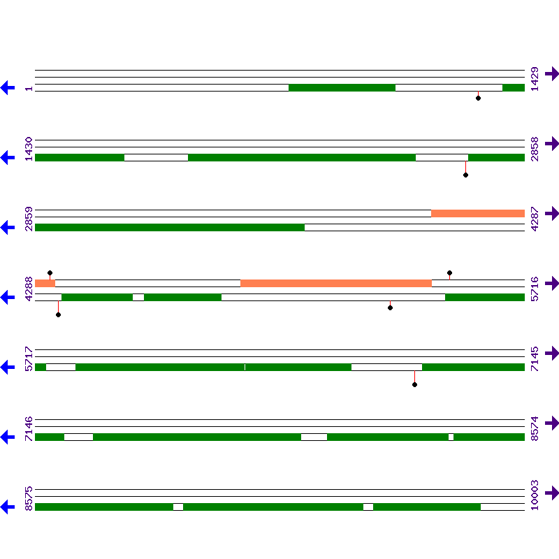 Genome View
