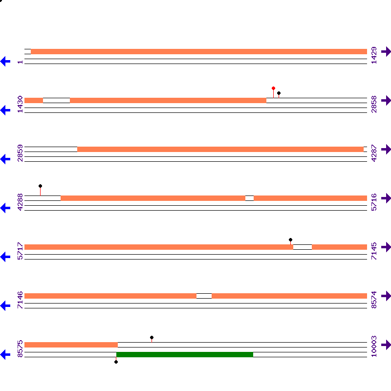 Genome View