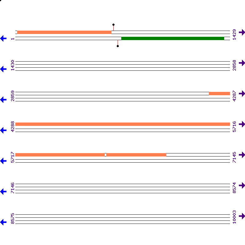 Genome View