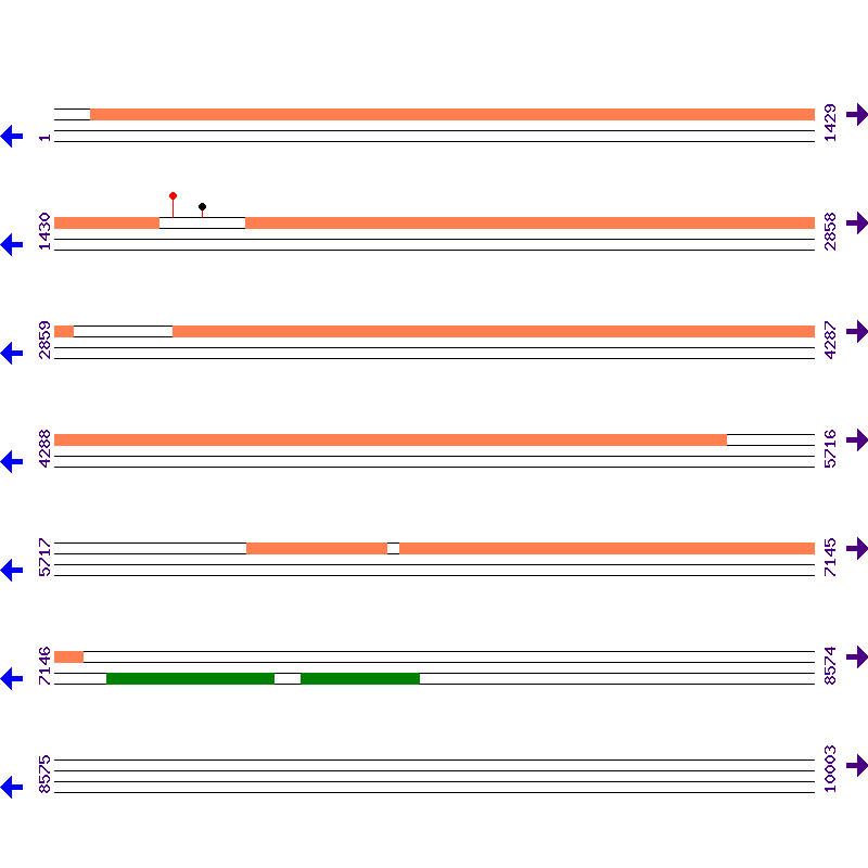 Genome View