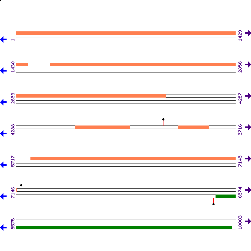 Genome View