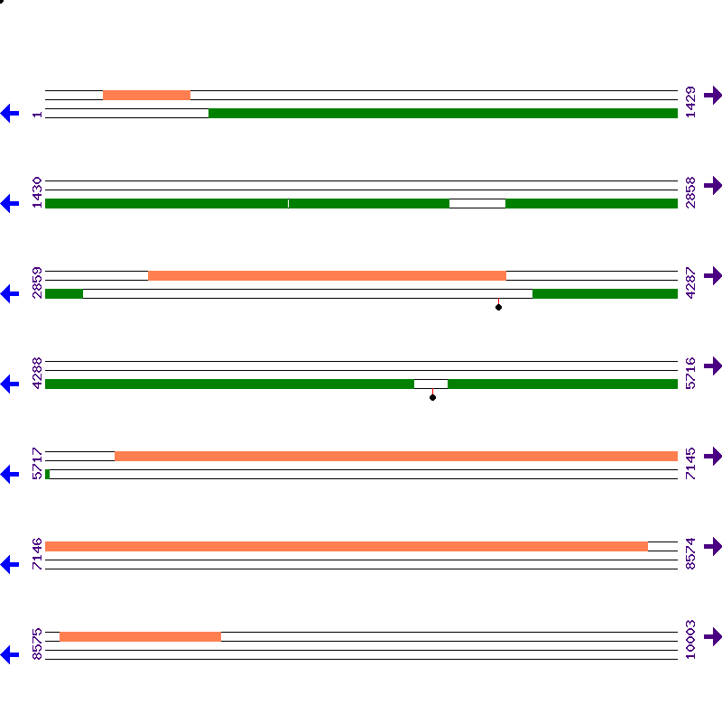 Genome View