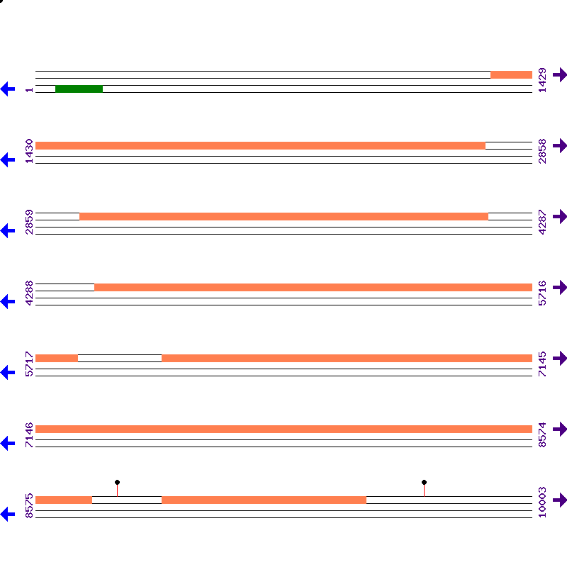 Genome View