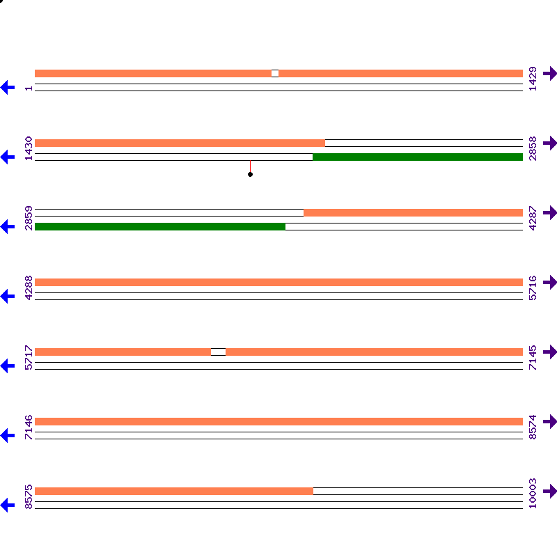 Genome View