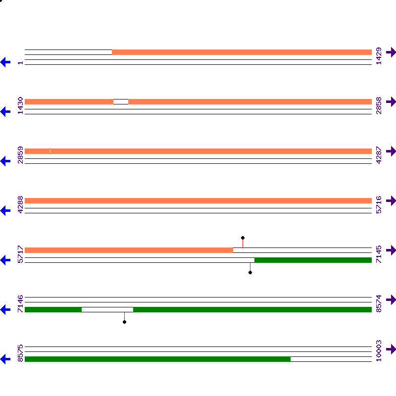 Genome View