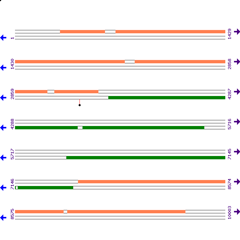 Genome View