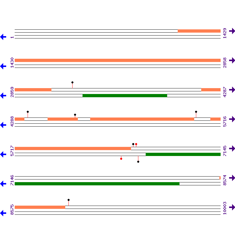 Genome View