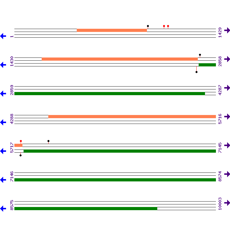 Genome View