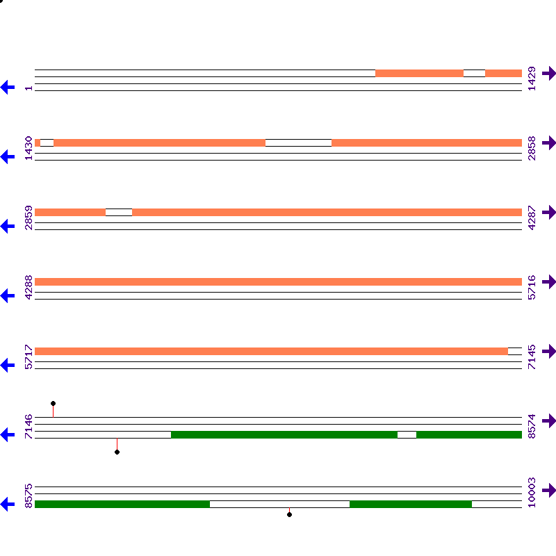 Genome View