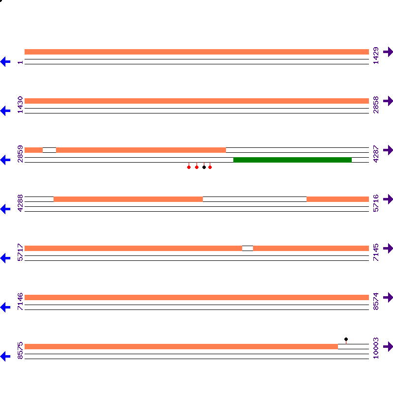 Genome View