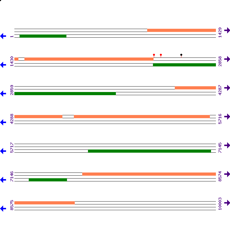 Genome View