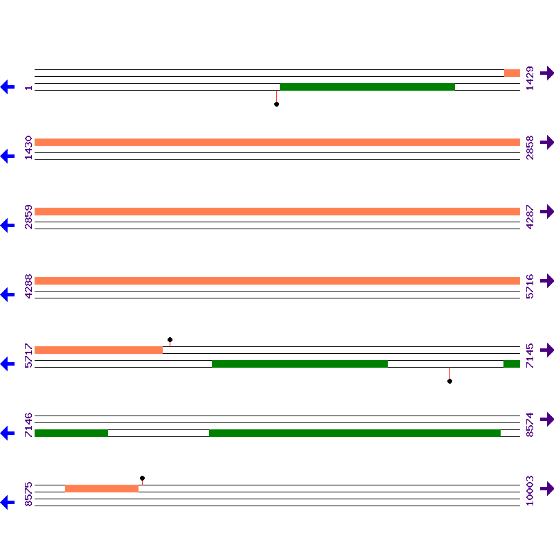 Genome View