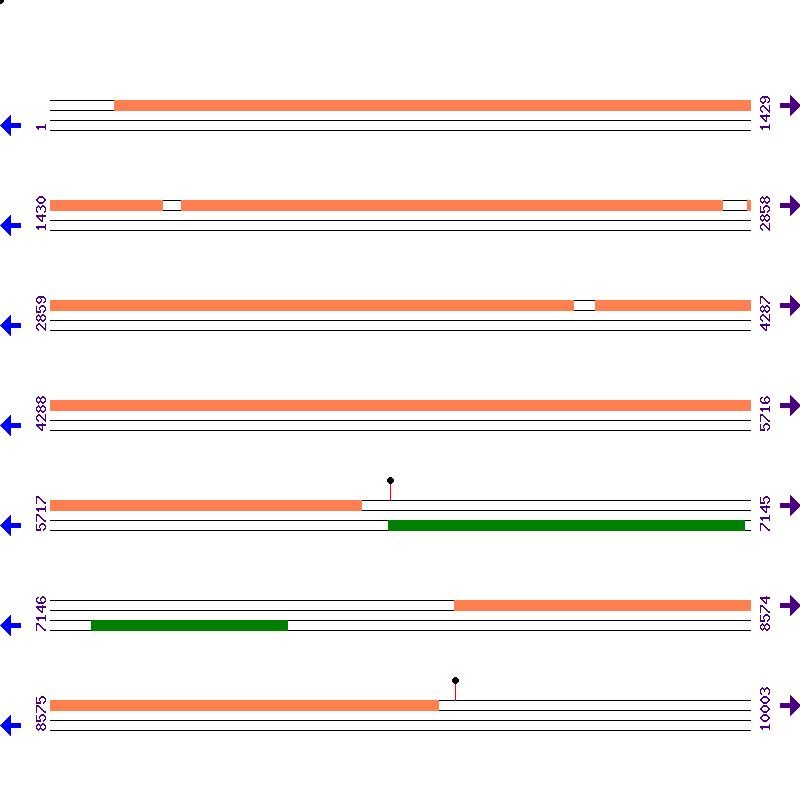 Genome View