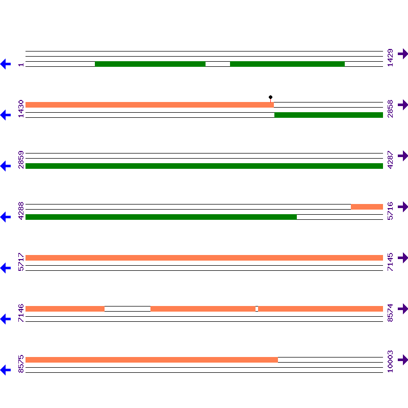 Genome View