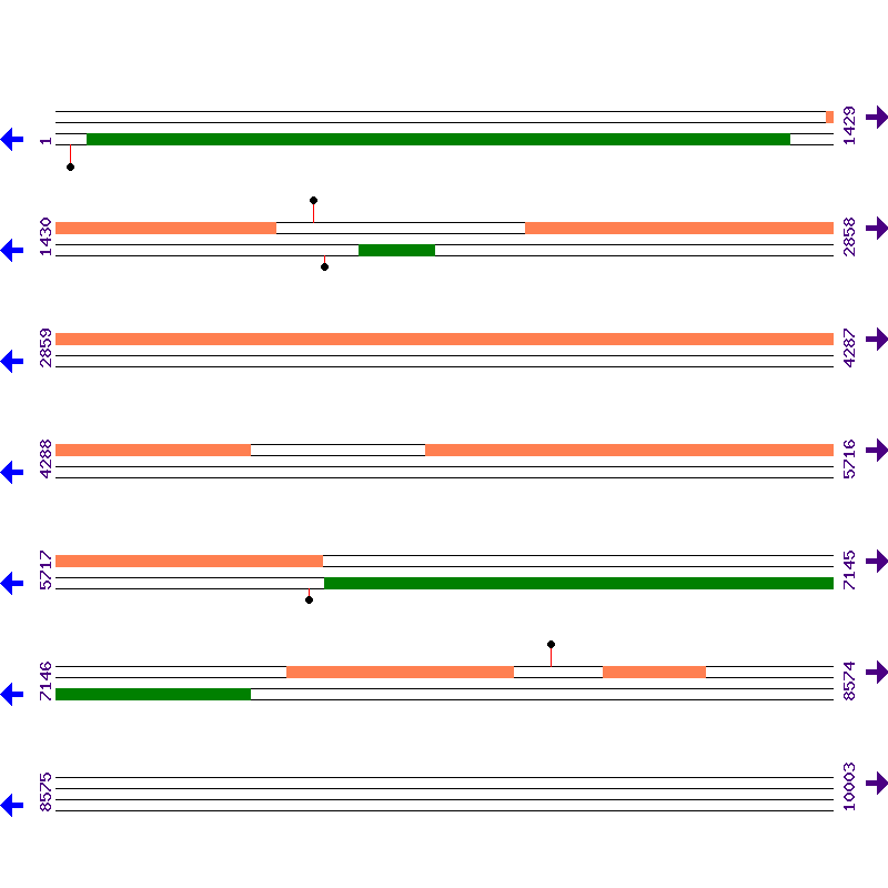 Genome View