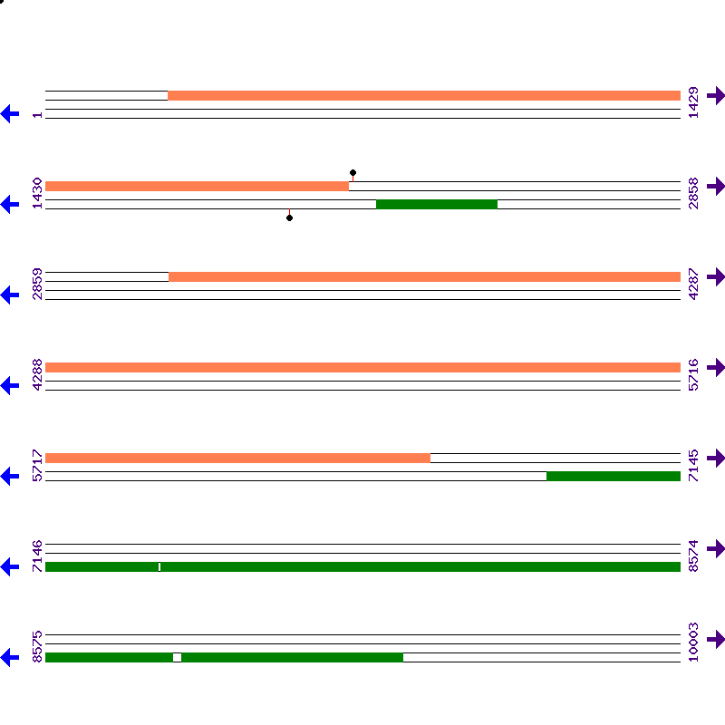 Genome View