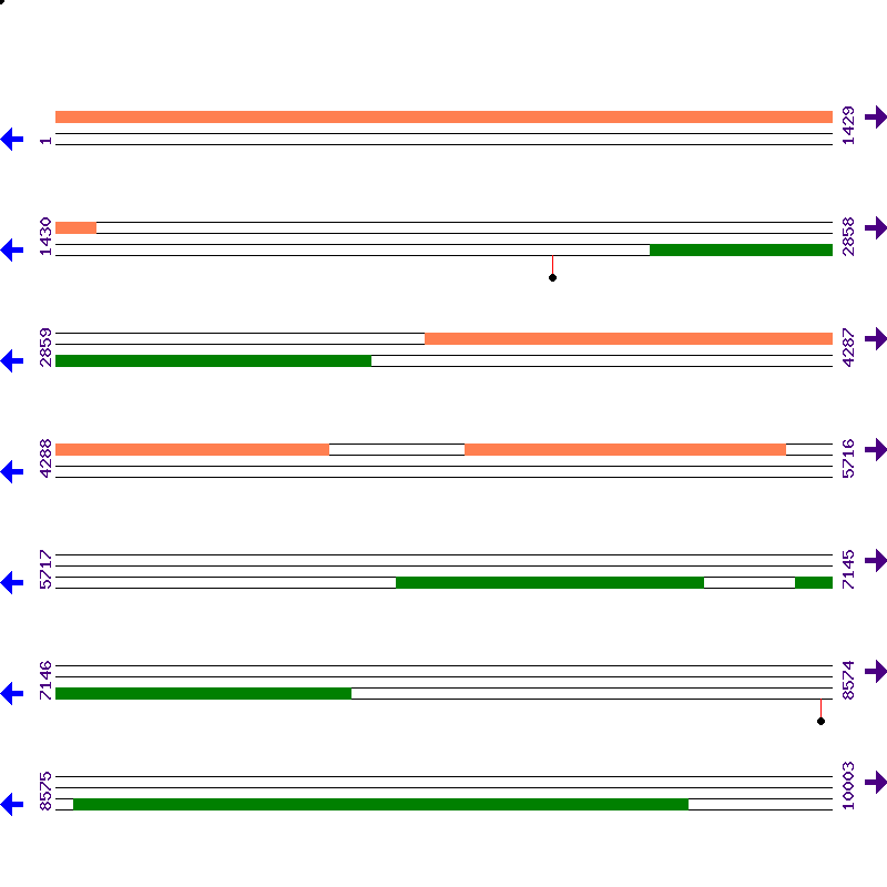 Genome View