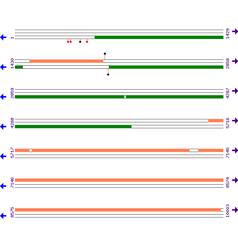 Genome View