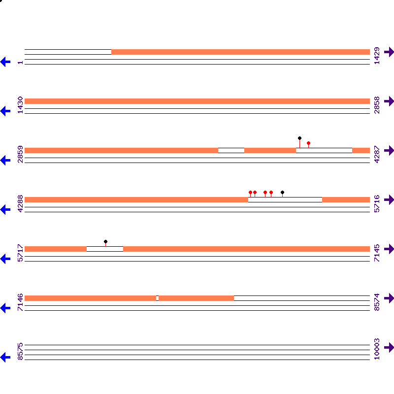 Genome View