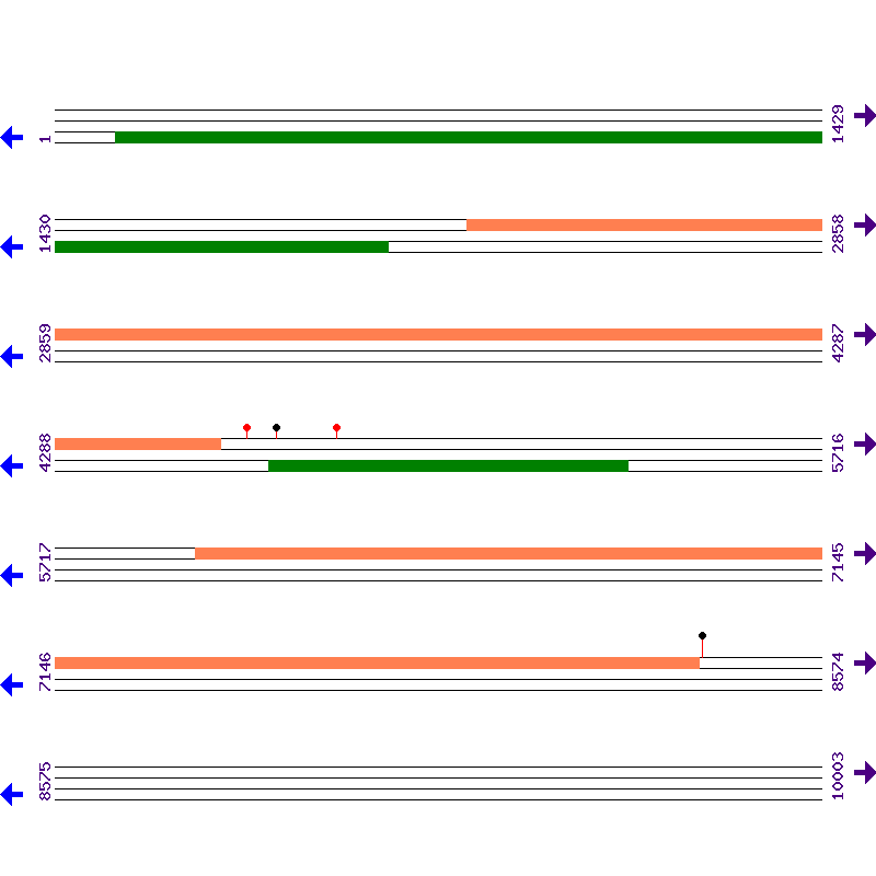 Genome View