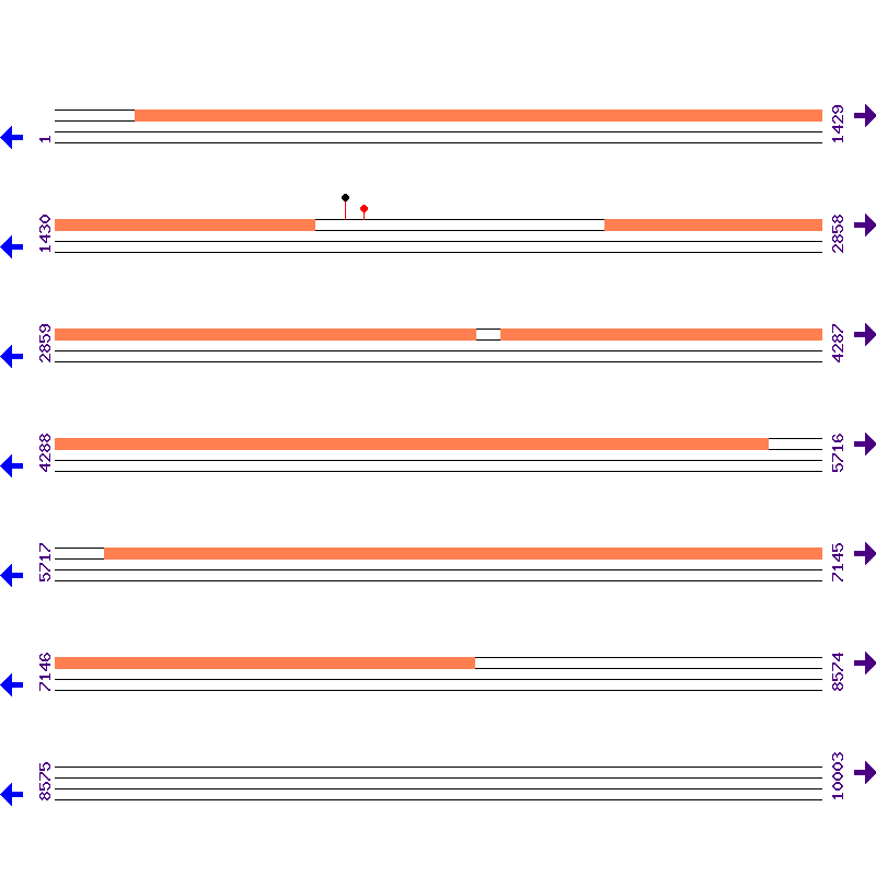 Genome View