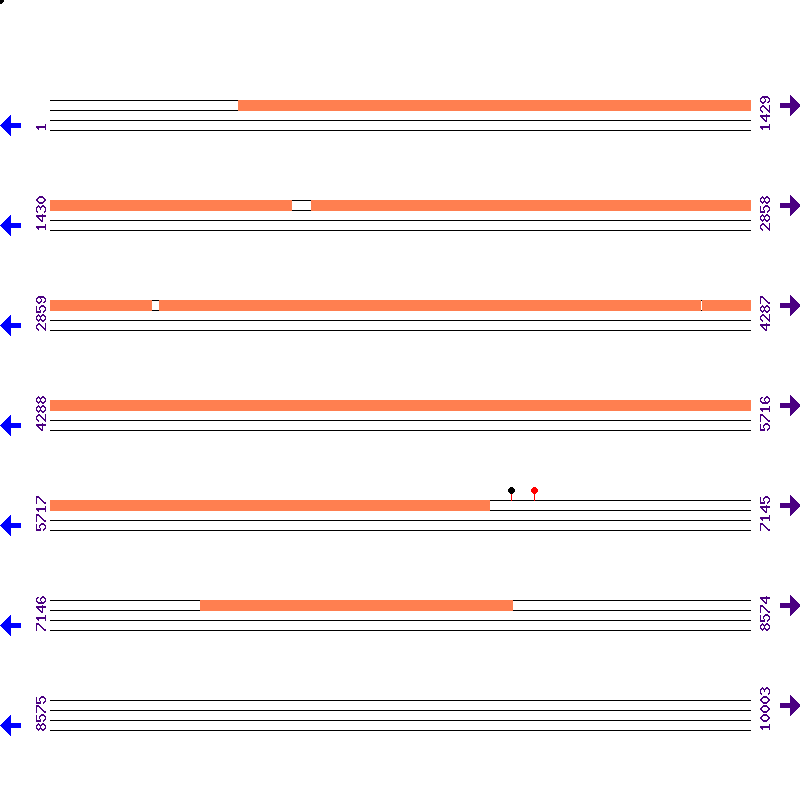 Genome View