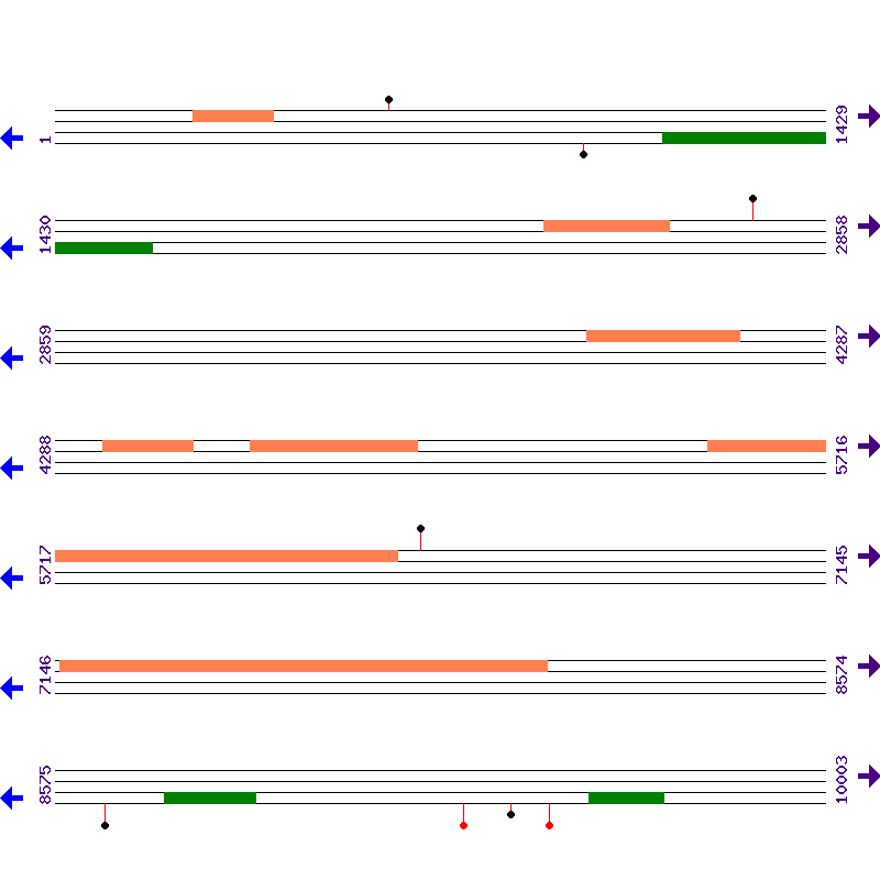 Genome View