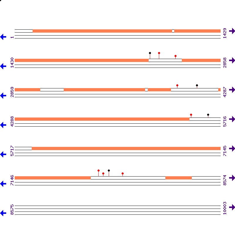 Genome View