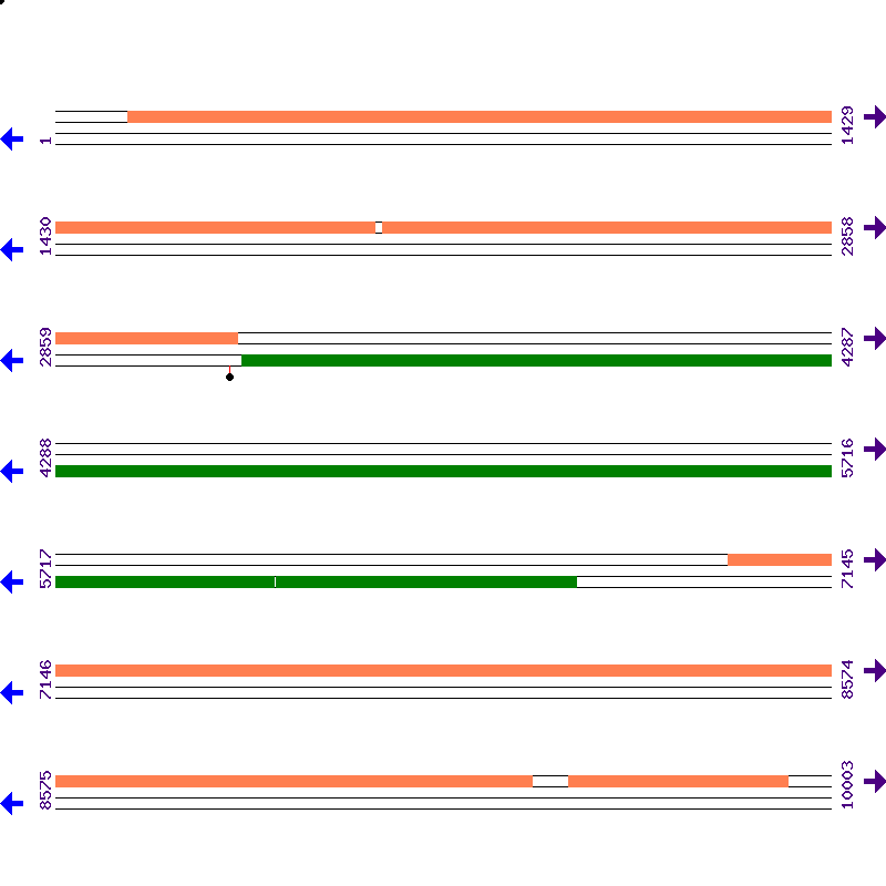 Genome View
