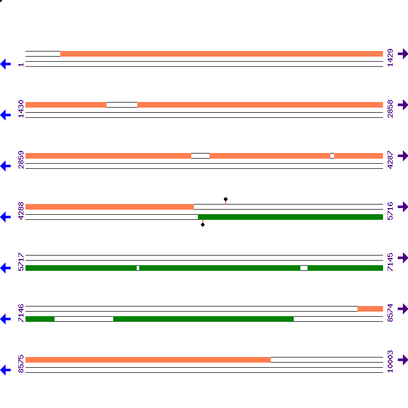 Genome View