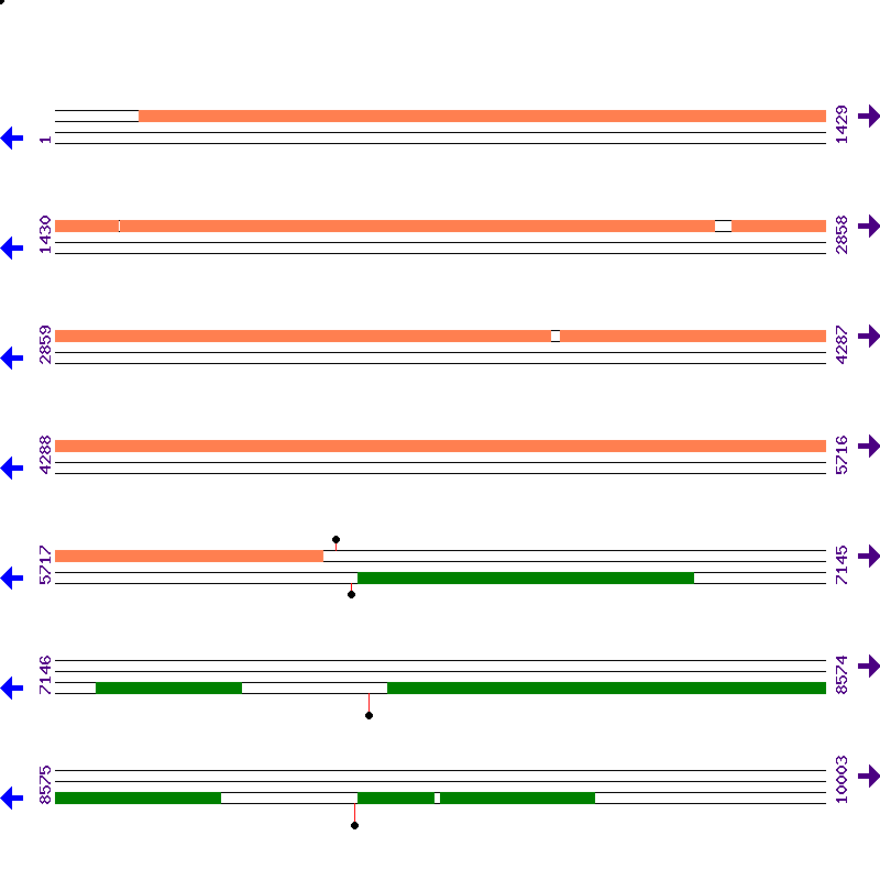 Genome View