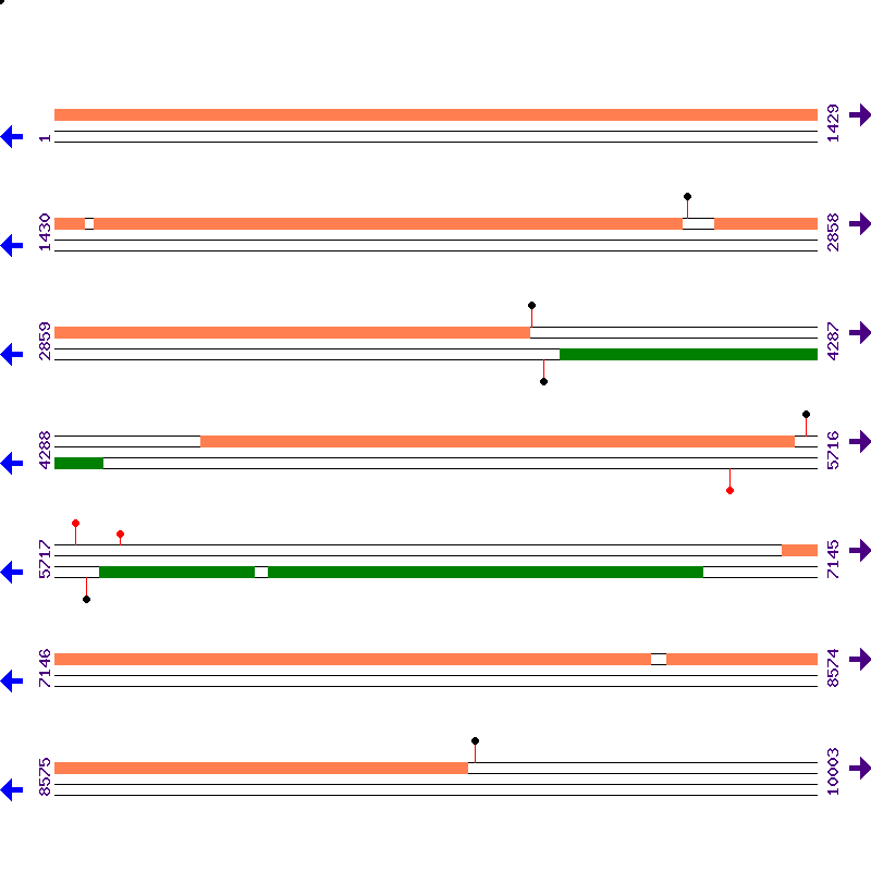 Genome View
