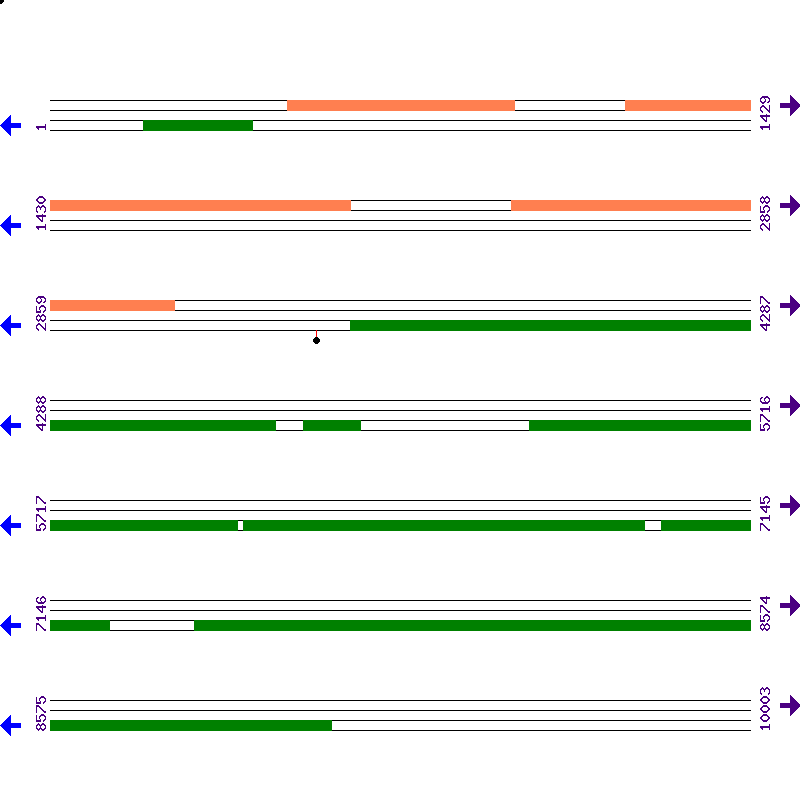 Genome View