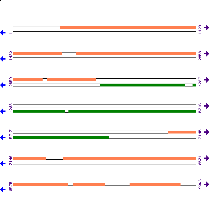 Genome View
