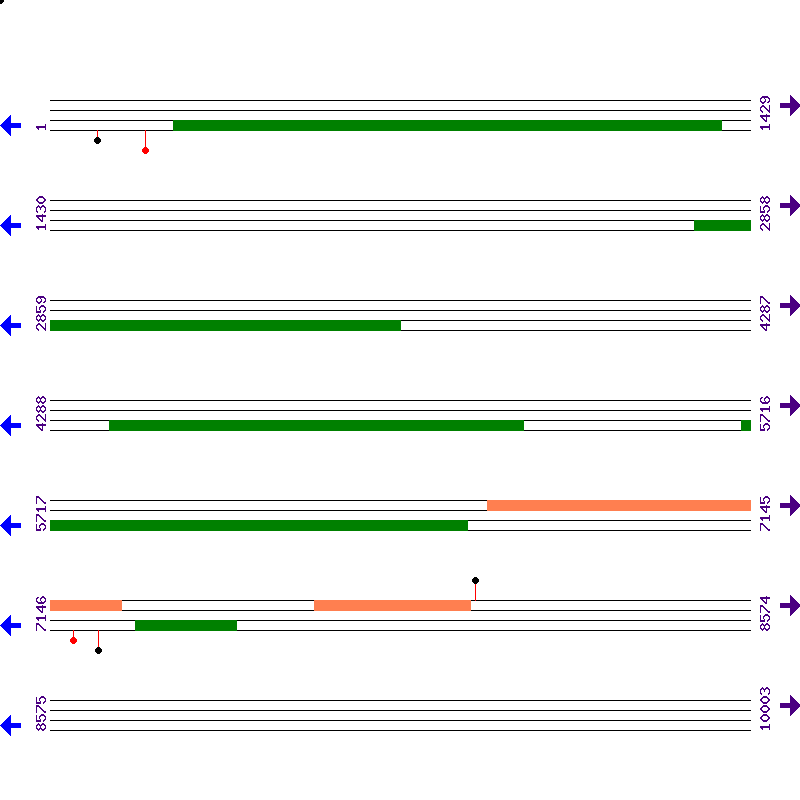 Genome View