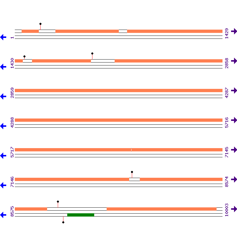 Genome View