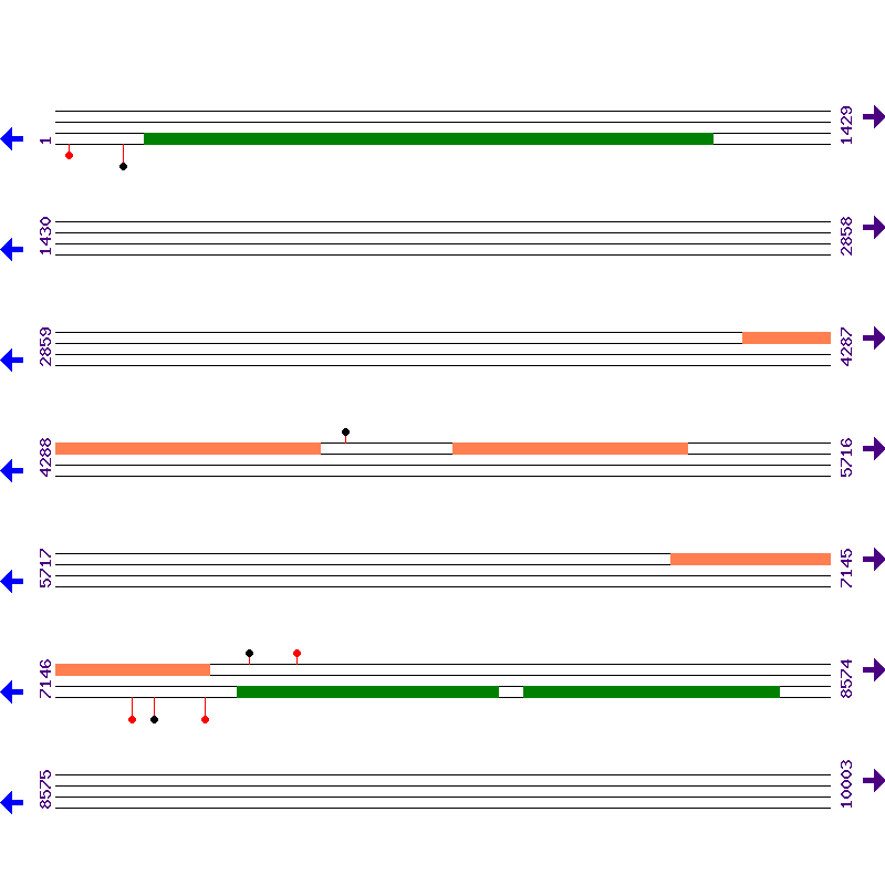 Genome View