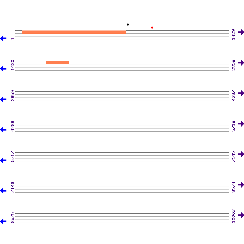 Genome View