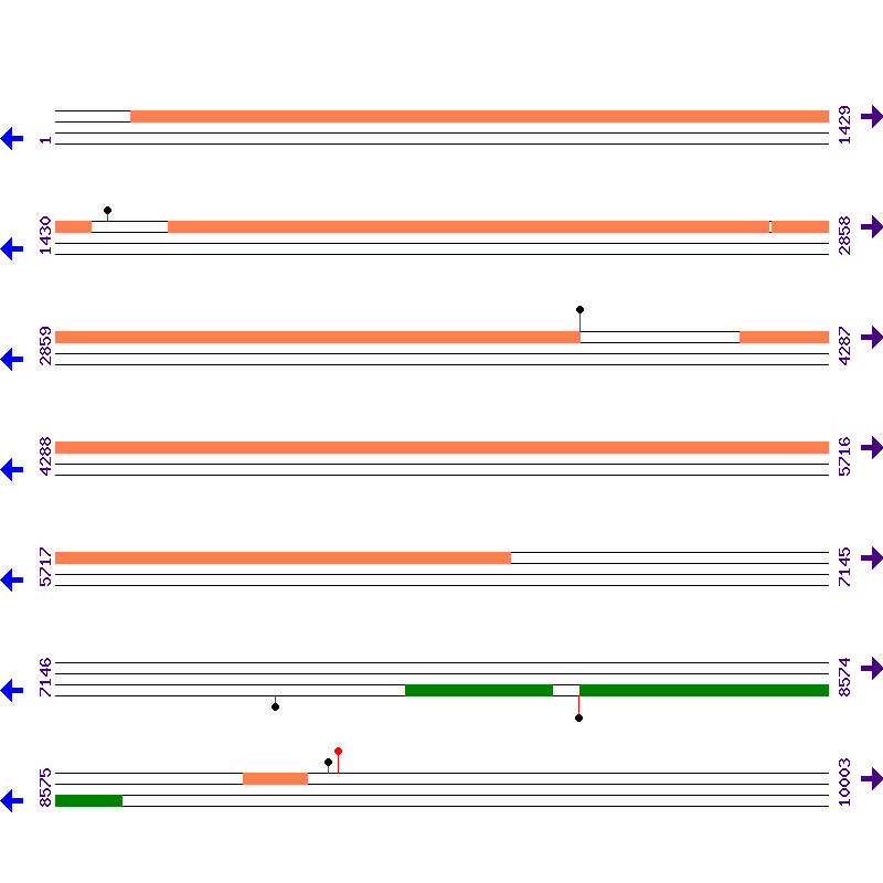 Genome View