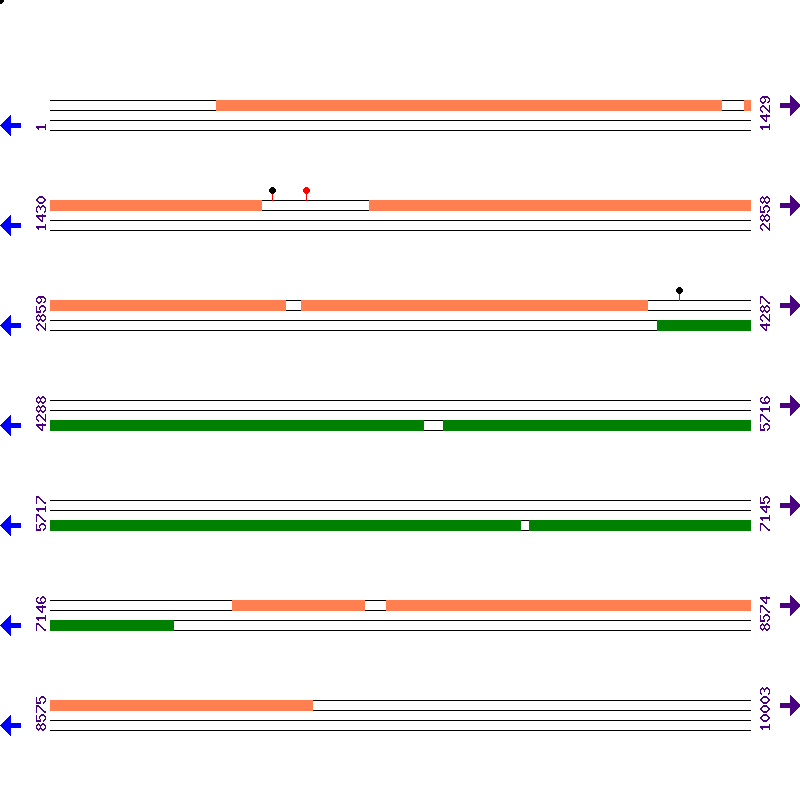 Genome View
