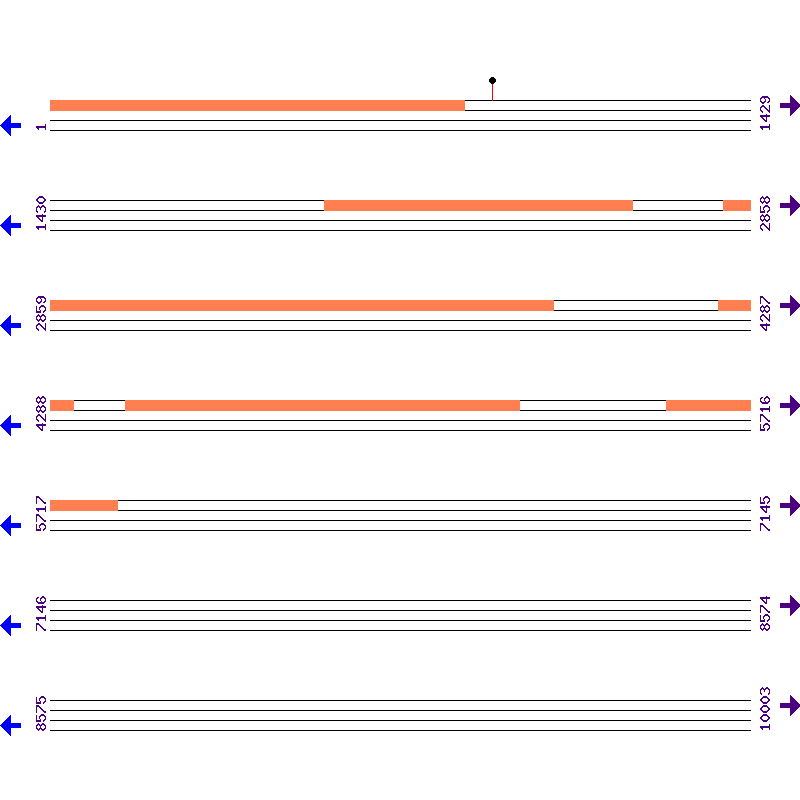 Genome View