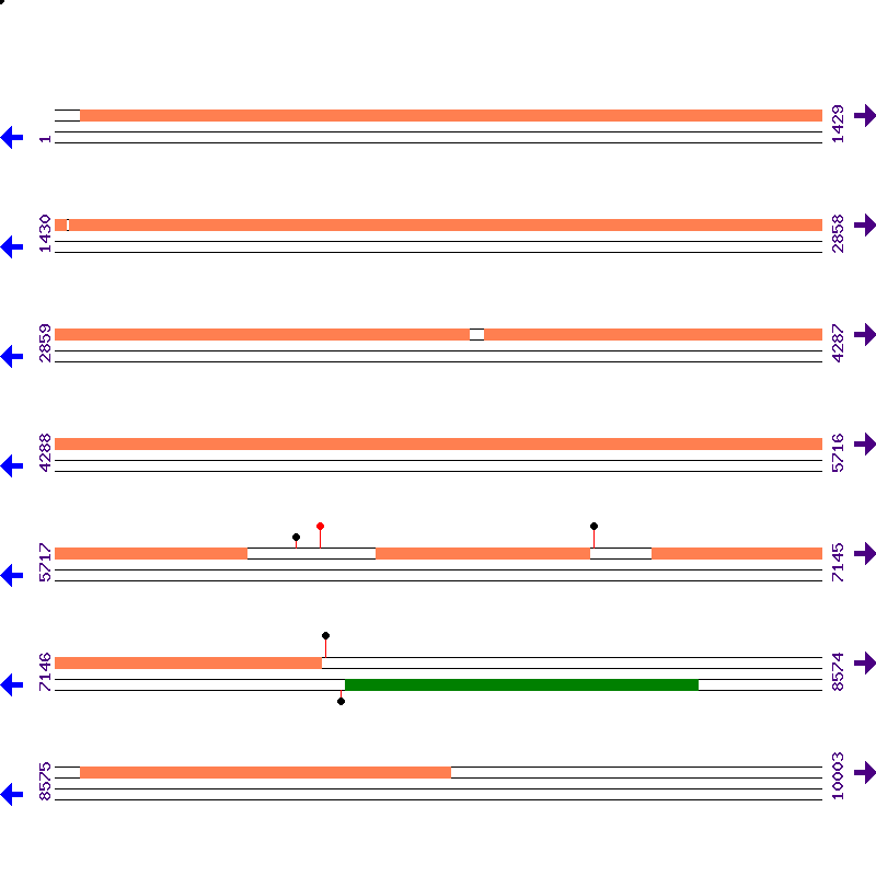 Genome View