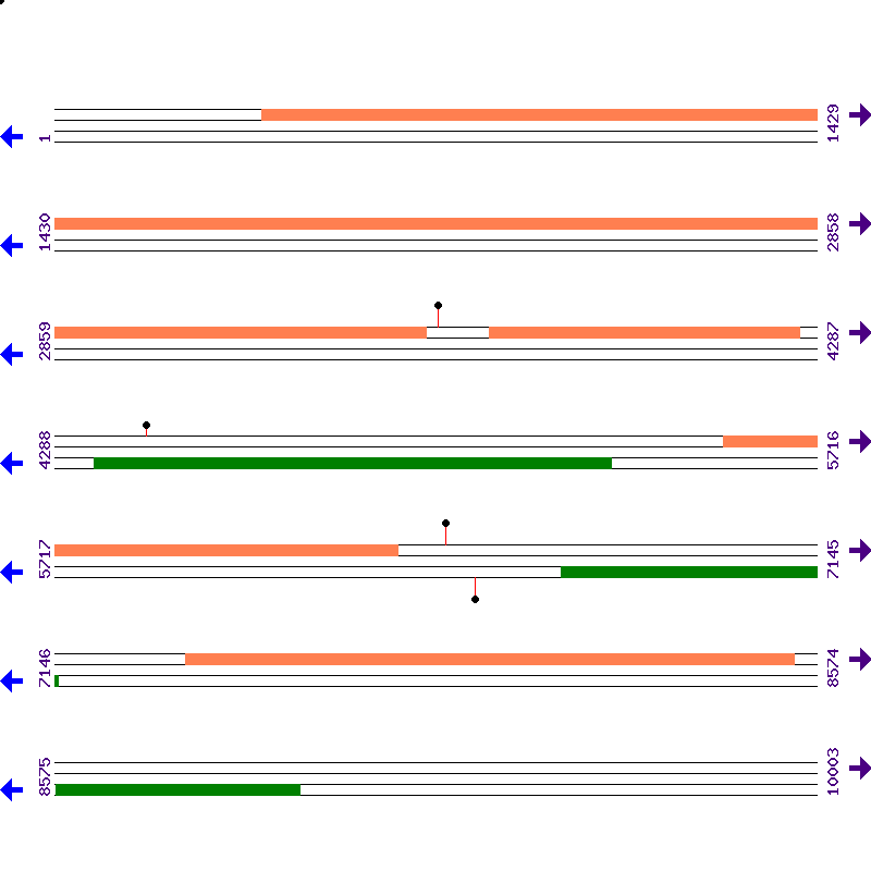Genome View