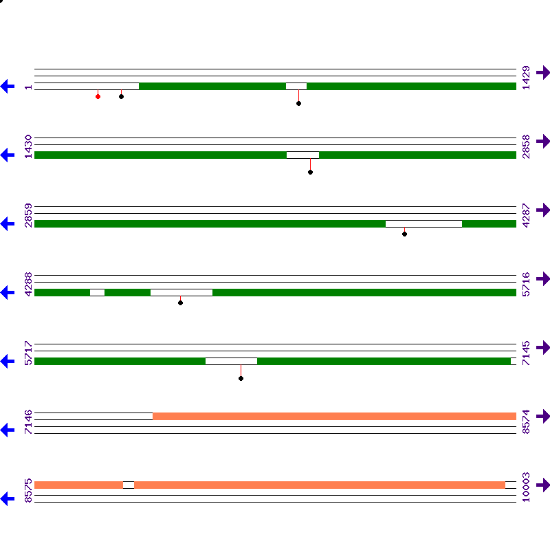 Genome View