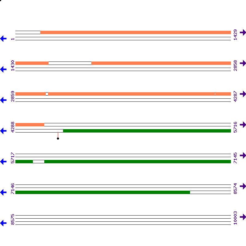 Genome View