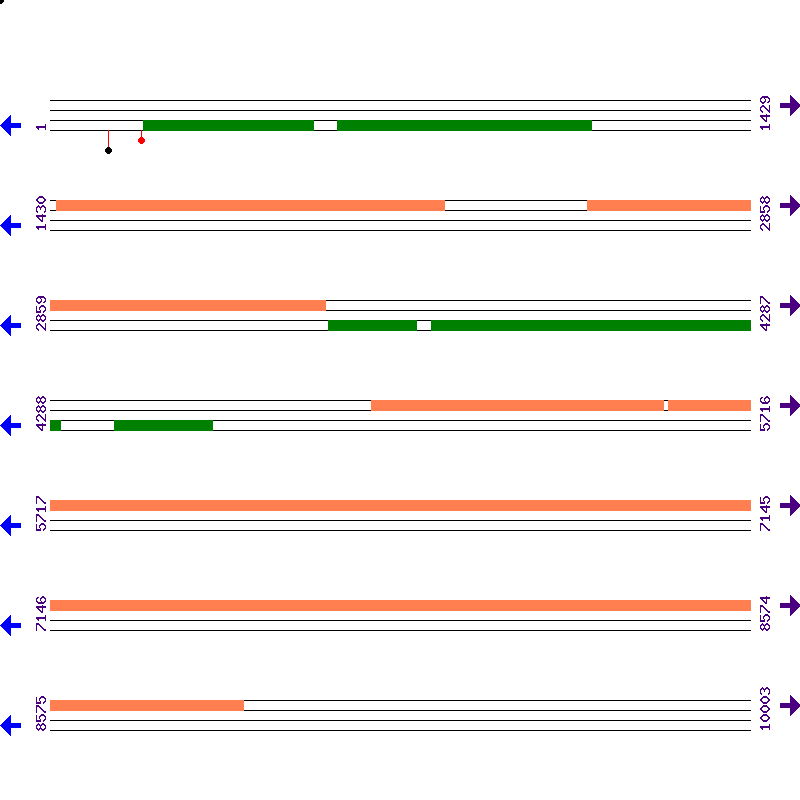 Genome View